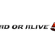 Illustration for article titled Next Spring, emDead or Alive 5/em Will Beat Up the PS Vita